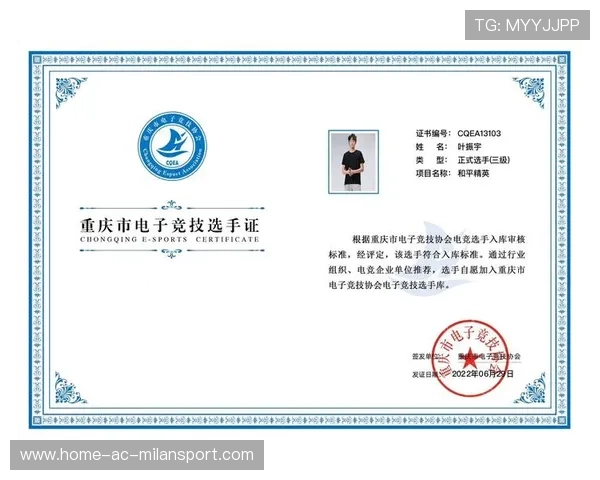 联赛引入电子竞赛手册 便于裁判、教练与球员查询规则,电子竞技裁判员证