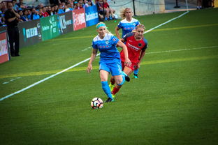 米兰体育登陆-中国篮球职业联赛球队间战术风格比较研究,篮球团队战术